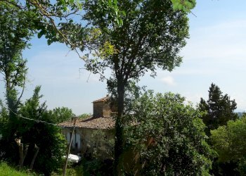 Foto 34 - Rustico San Casciano in Val di Pesa - foto 34