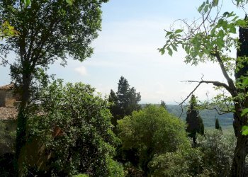 Foto 35 - Rustico San Casciano in Val di Pesa - foto 35