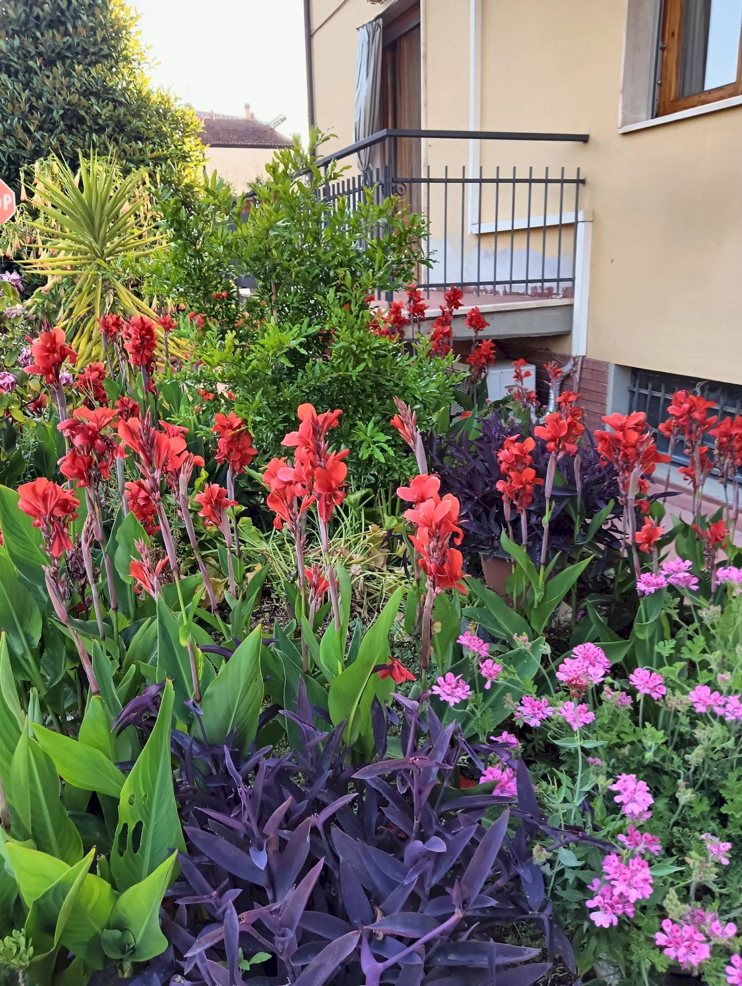 Foto 1 - Four-room apartment Montespertoli - photo 1