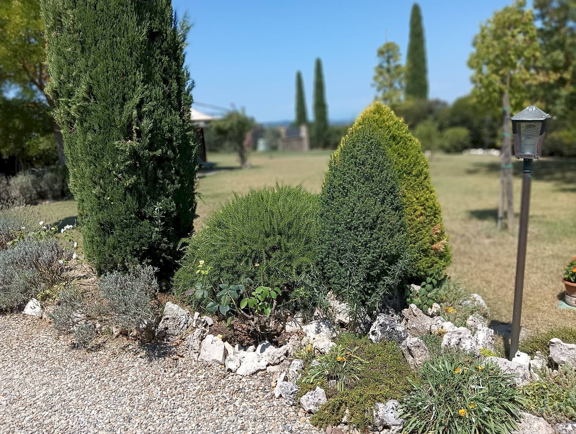 Foto 1 - Rustico Castelfiorentino - foto 1