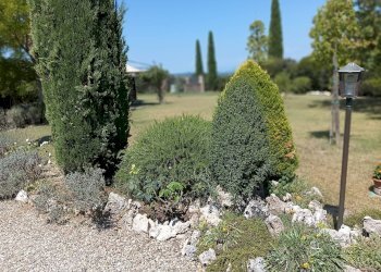 Foto 1 - Rustic Castelfiorentino - photo 1