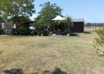 Foto 4 - Rustic Castelfiorentino - photo 4