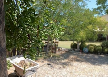 Foto 8 - Rustic Castelfiorentino - photo 8