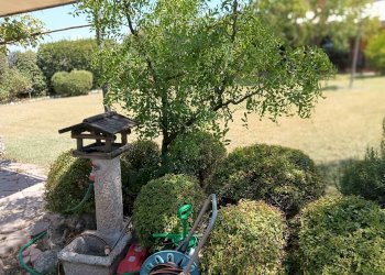 Foto 10 - Rustic Castelfiorentino - photo 10