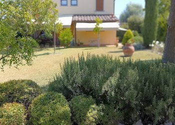 Foto 11 - Rustic Castelfiorentino - photo 11