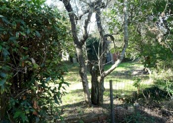 Foto 29 - Villa Montespertoli - foto 29