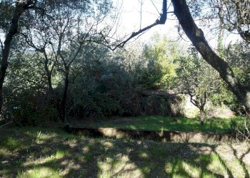 Foto 31 - Villa Montespertoli - foto 31