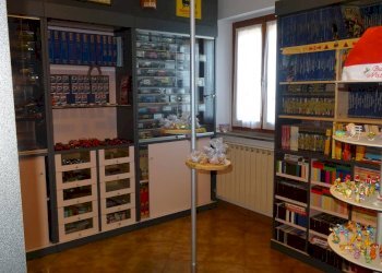 Foto 14 - Rustico Montespertoli - foto 14