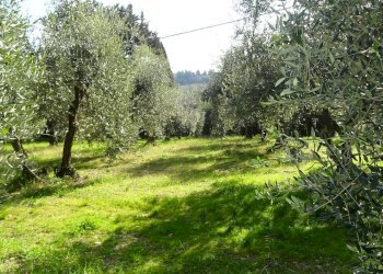 Foto 45 - Villa Montespertoli - foto 45