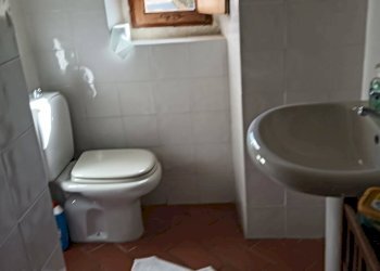 Foto 18 - Rustico Montespertoli - foto 18