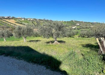 Foto 1 - Terreno edificabile via A. Cartone, Mosciano Sant'Angelo - foto 1