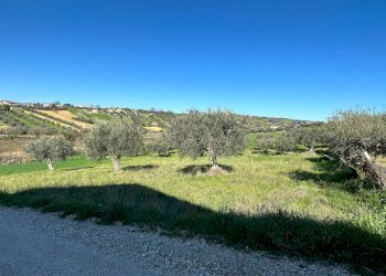 Foto 2 - Terreno edificabile via A. Cartone, Mosciano Sant'Angelo - foto 2