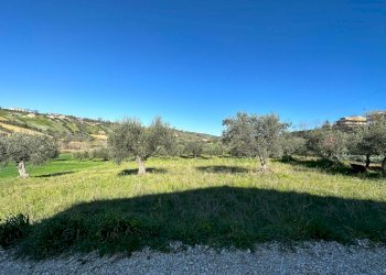 Foto 3 - Terreno edificabile via A. Cartone, Mosciano Sant'Angelo - foto 3