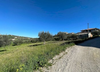 Foto 6 - Terreno edificabile via A. Cartone, Mosciano Sant'Angelo - foto 6