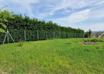 Foto 6 - Villa Recanati - foto 6