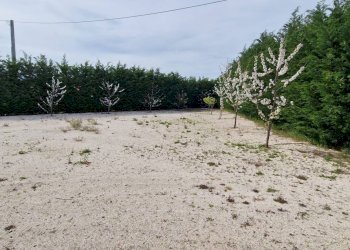 Foto 9 - Villa Recanati - foto 9