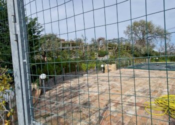 Foto 13 - Villa Recanati - foto 13