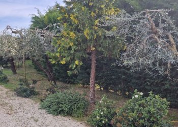 Foto 14 - Villa Recanati - foto 14