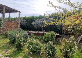 Foto 18 - Villa Recanati - foto 18