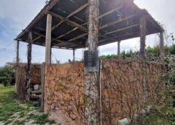 Foto 19 - Villa Recanati - foto 19