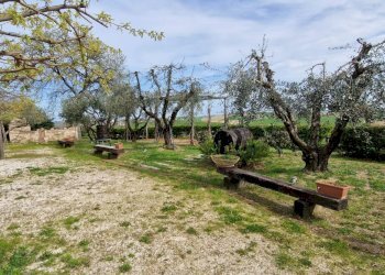 Foto 23 - Villa Recanati - foto 23