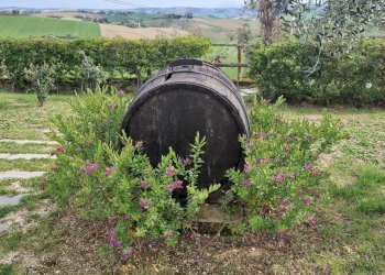 Foto 26 - Villa Recanati - foto 26