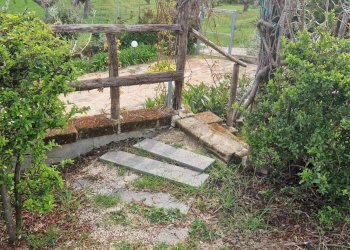 Foto 28 - Villa Recanati - foto 28