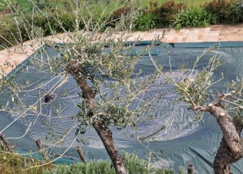 Foto 29 - Villa Recanati - foto 29