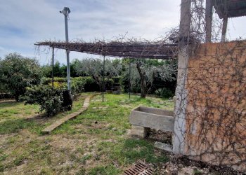 Foto 30 - Villa Recanati - foto 30