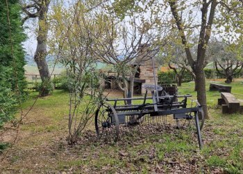 Foto 42 - Villa Recanati - foto 42