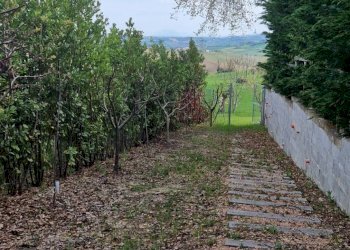 Foto 46 - Villa Recanati - foto 46