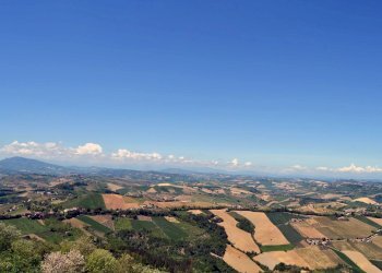 Foto 38 - Appartamento Ripatransone - foto 37