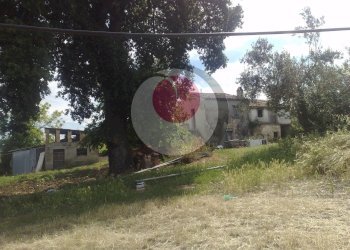 Foto 2 - Rustico c.da colleruzzo, Mozzagrogna - foto 2