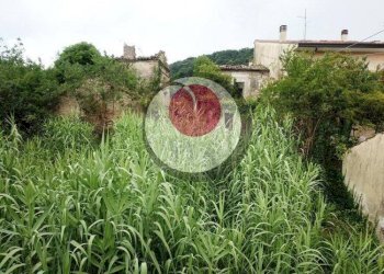 Foto 8 - Rustico Contrada Santa Liberata, Lanciano - foto 8