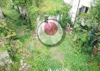 Foto 10 - Rustico Contrada Santa Liberata, Lanciano - foto 10