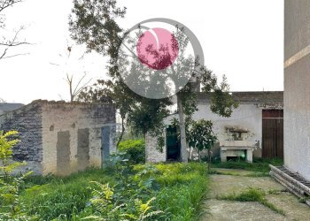 Foto 4 - Casa indipendente Paglieta - foto 4