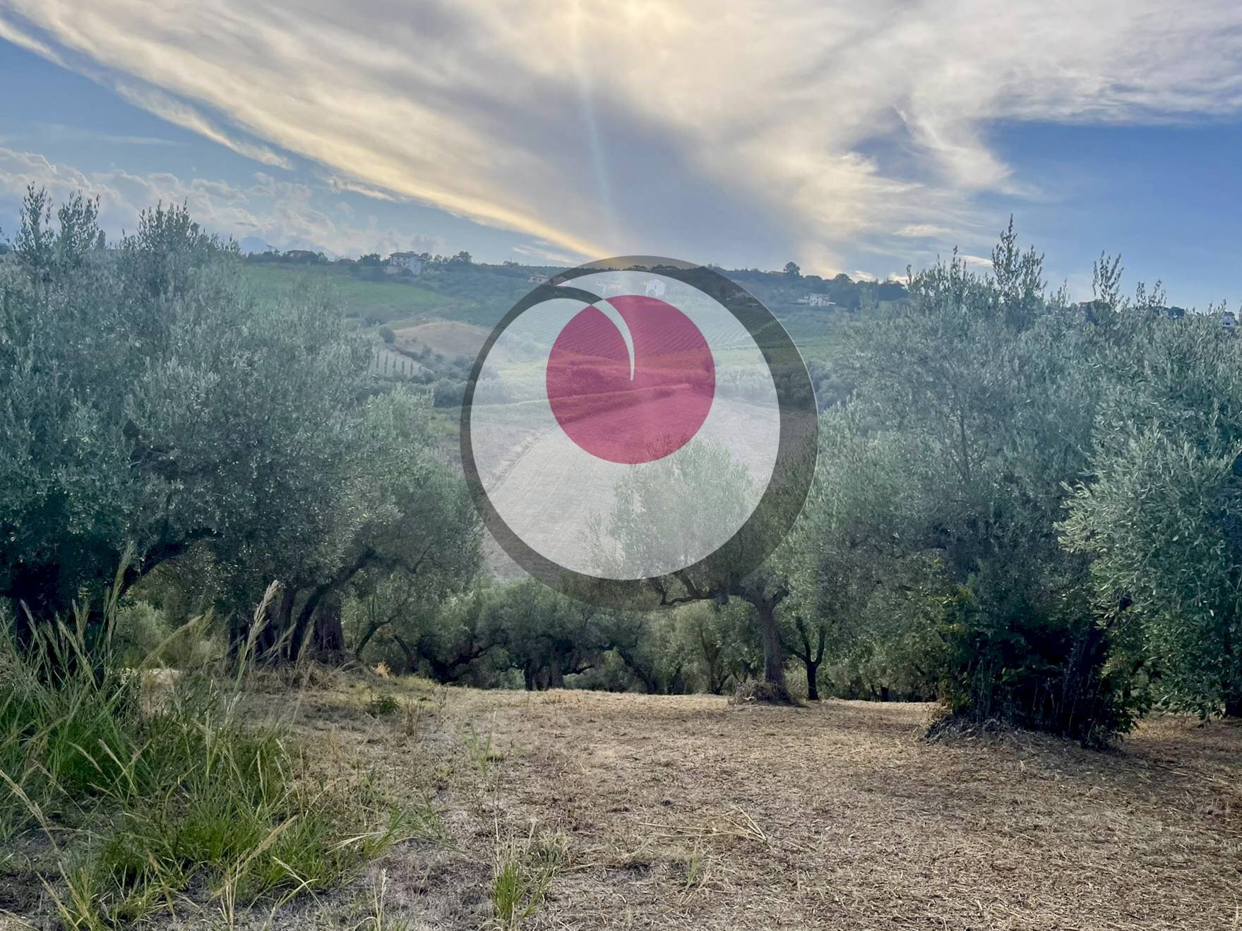 Foto 2 - Agricultural land Lanciano - photo 2