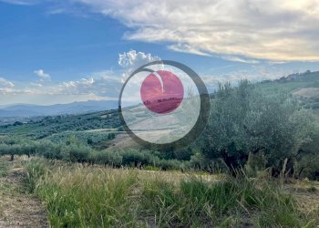 Foto 1 - Agricultural land Lanciano - photo 1