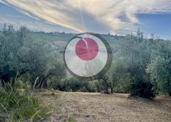 Foto 2 - Agricultural land Lanciano - photo 2