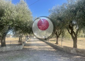 Foto 8 - Rustico località fonte grande, Arielli - foto 8