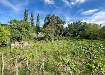 Foto 9 - Rustico via del feltrino, Lanciano - foto 9