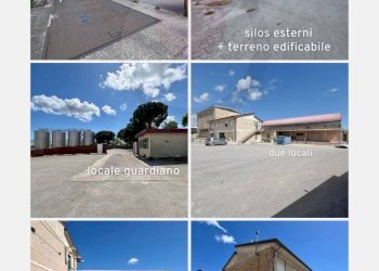 Foto 2 - Laboratorio via roma, Arielli - foto 2