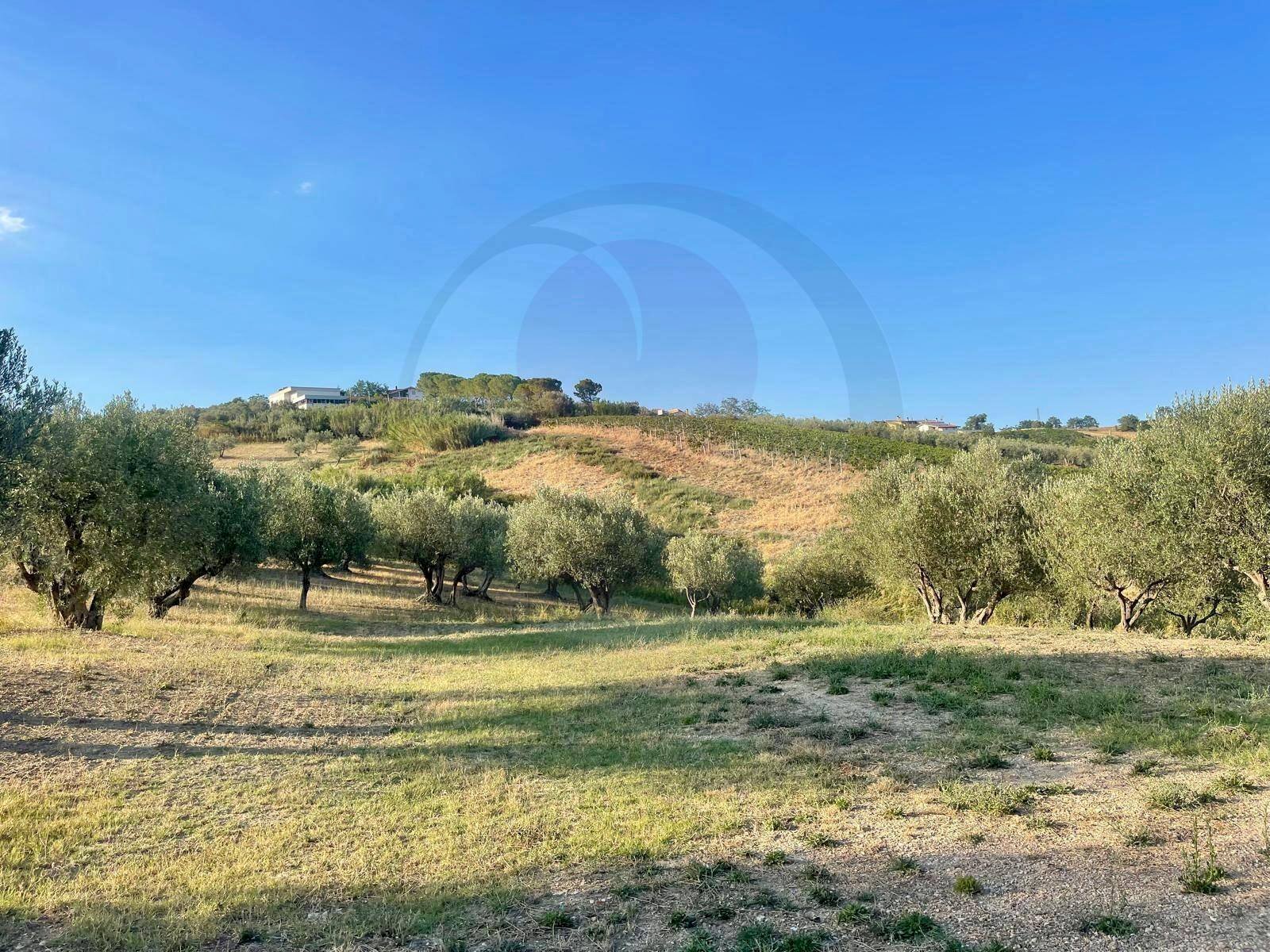Foto 1 - Terreno agricolo contrada Re di coppe, Lanciano - foto 1