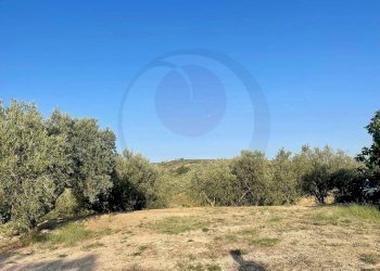 Foto 2 - Terreno agricolo contrada Re di coppe, Lanciano - foto 2