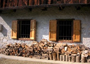 Foto 22 - Appartamento Forno di Zoldo, Val di Zoldo - foto 22