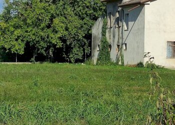 Foto 5 - Rustico via Marzelline
 
12, Paese - foto 5