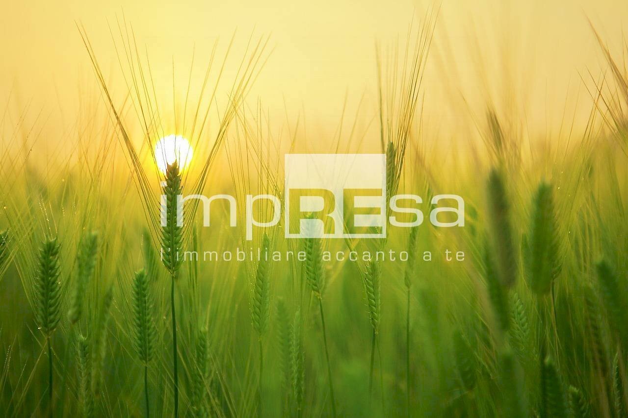 Foto 1 - Agricultural land via Sovernigo, Paese - photo 1