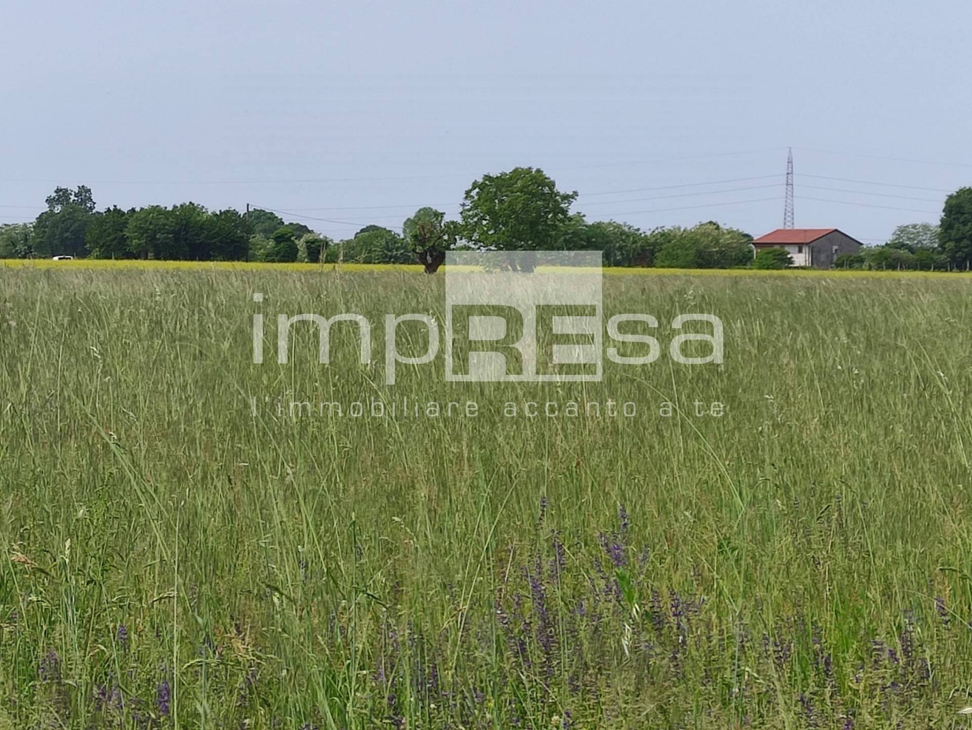Foto 2 - Terreno agricolo via Sovernigo, Paese - foto 2