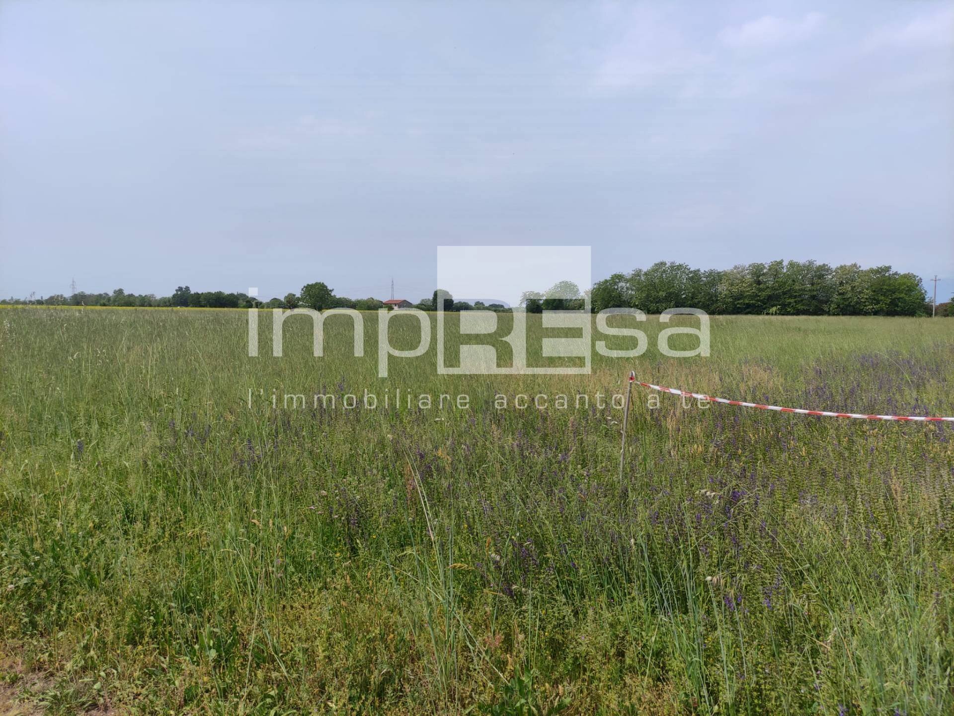 Foto 3 - Terreno agricolo via Sovernigo, Paese - foto 3