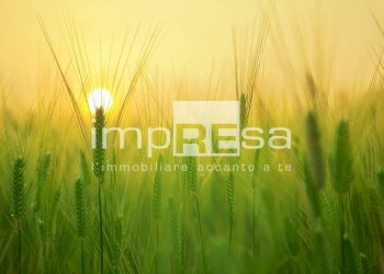 Foto 1 - Agricultural land via Sovernigo, Paese - photo 1